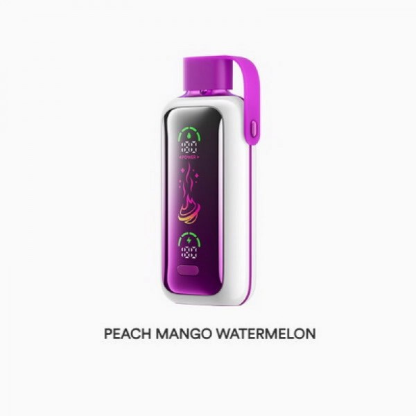Vozol Star 20000 Reusable Vape Best Sale