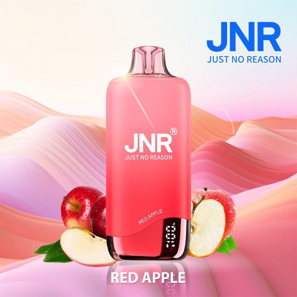 JNR Rainbow 10k Reusable Vape (10pcs/pack)
