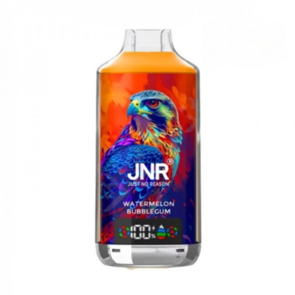 JNR Falcon X 18000 Reusable Vape (10pcs/pack)