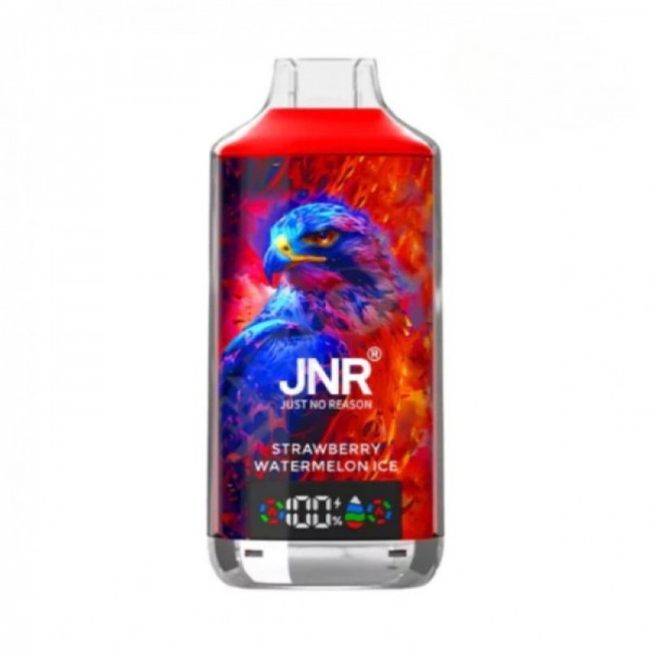 JNR Falcon X 18000 Reusable Vape (10pcs/pack)