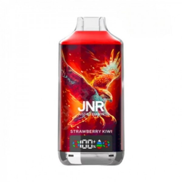 JNR Falcon X 18000 Reusable Vape (10pcs/pack)