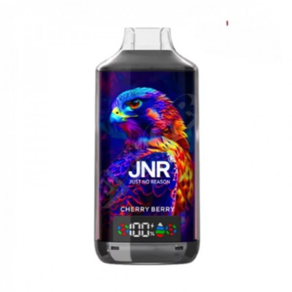 JNR Falcon X 18000 Reusable Vape (10pcs/pack)