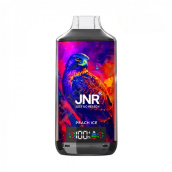 JNR Falcon X 18000 Reusable Vape (10pcs/pack)