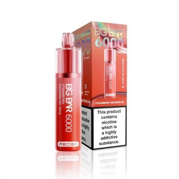 Feoba Big Bar 6000 Reusable Vape (5pcs/pack)