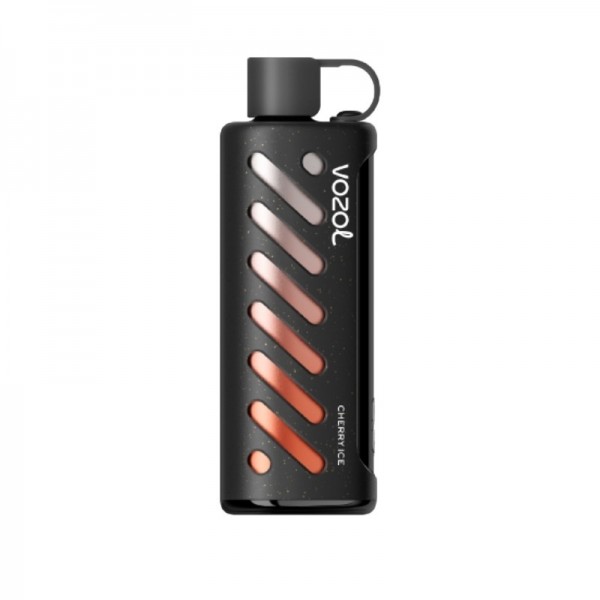 Vozol Gear Shisha 25000 Reusable Vape Best Flavour